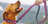 DCollars & Leashes