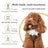 4-in-1 Pet Grooming Clipper Kit - Rechargeable Dog and Cat Hair Trimmer with Paw, Face and Nail Grinder Heads in Mint Green or Pearl White