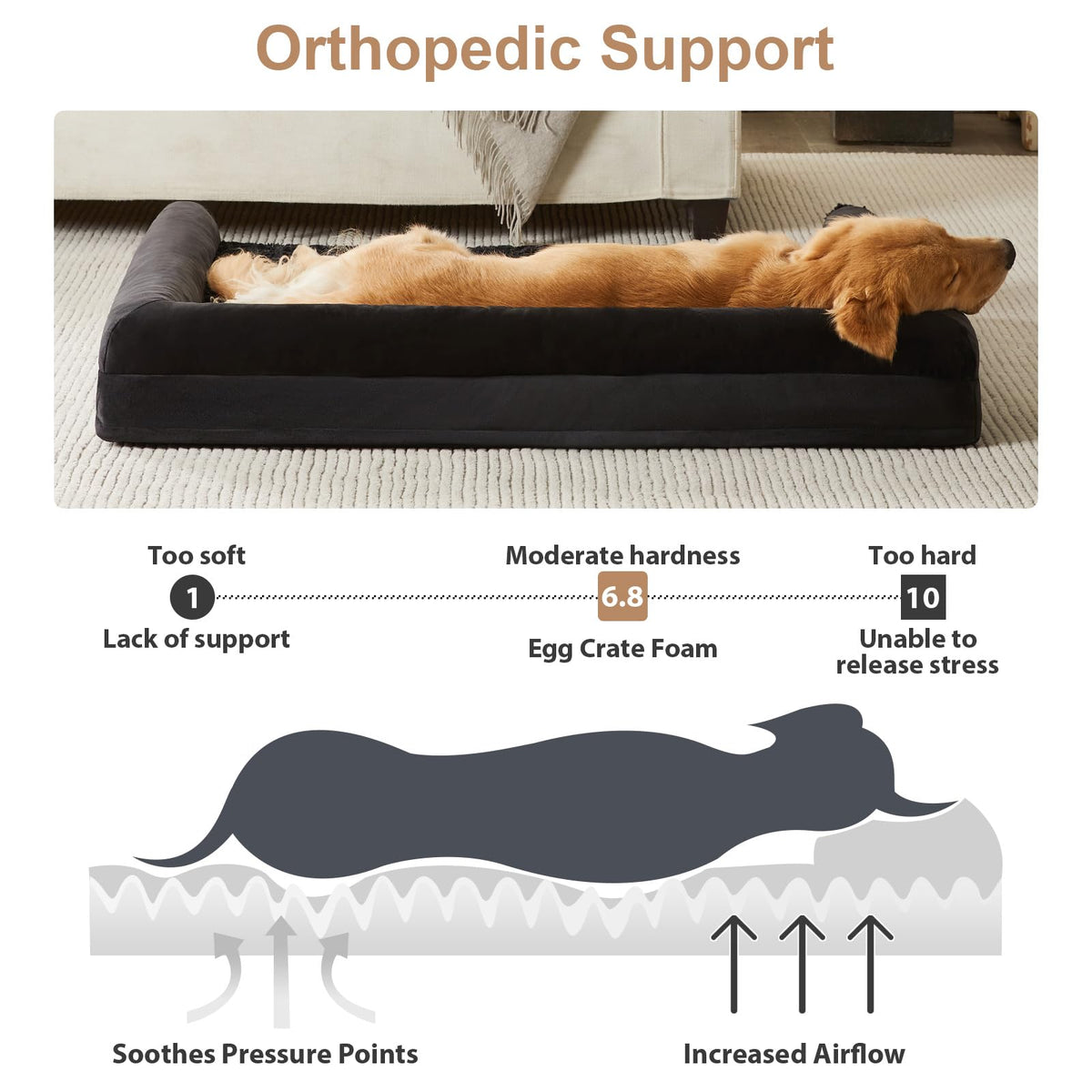 BFPETHOME Orthopedic Washable XXL Dog Bed for Senior Dog Cozy Sleep