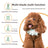 Rechargeable Dog and Cat Hair Clipper Kit in Mint Green or White - Quiet Cordless Trimmer with 4 Guide Combs, Oil and Cleaning Brush