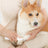 Anti-Jam Pet Hair Trimmer - Quiet Safety Blade Partial Shaver for Dogs and Cats with Cleaning Brush in White